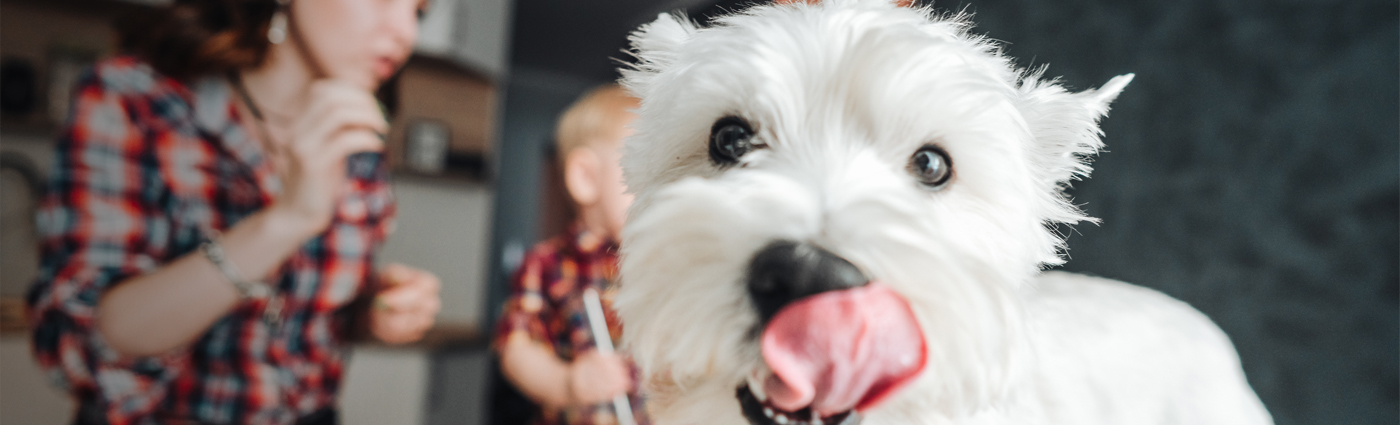 A white dog in a living room with a family of three.